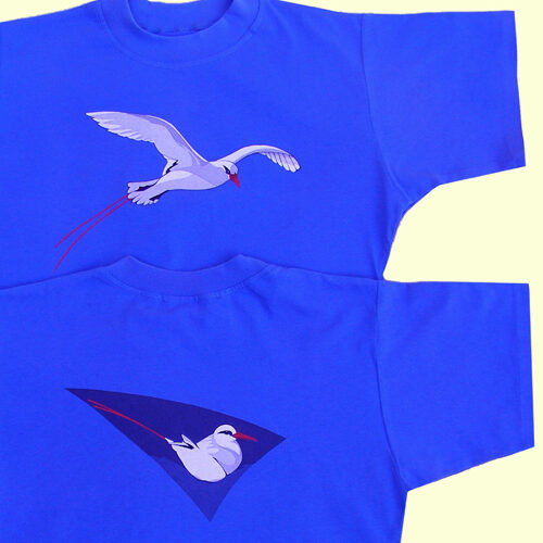 Red-tailed Tropicbird on sky blue