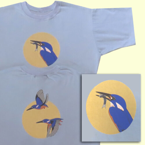 Azure Kingfisher on silver grey - NEW DESIGN 2025