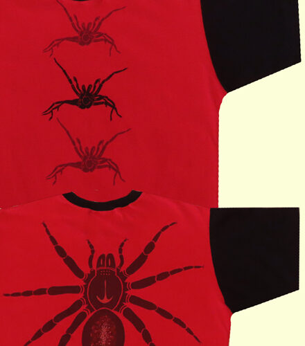 Funnel-web Spider on red (click to see full picture)